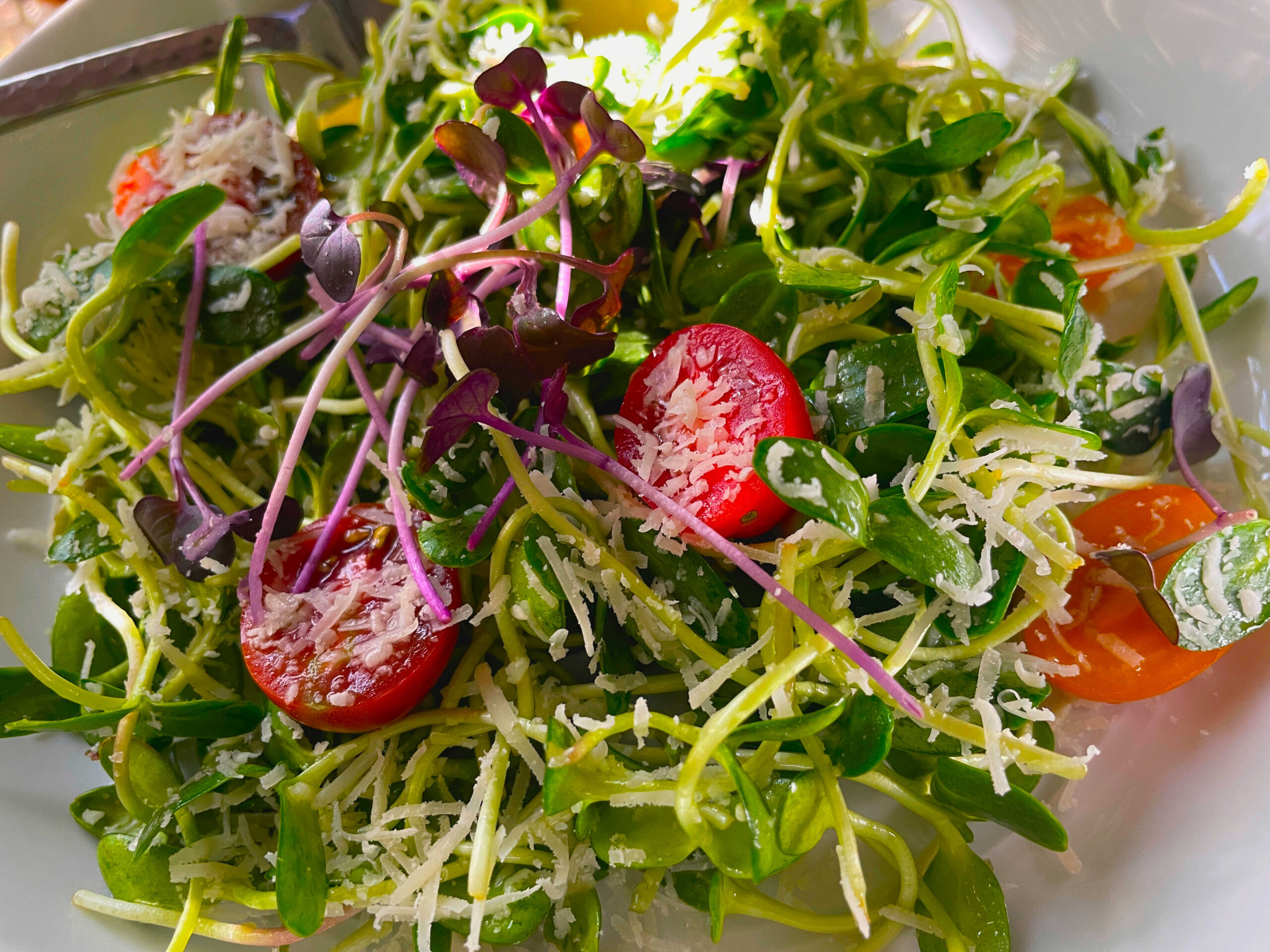 Luxury salad featuring sunflower shoots with micro radish, cherry tomatoes, parmesan romano mini orange slices, and a fresh vinaigrette